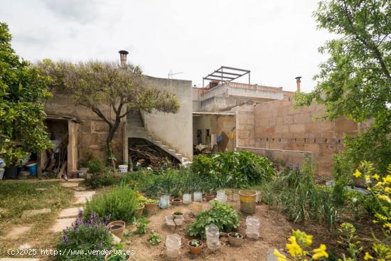 Casa de pueblo con un gran jardín - BALEARES