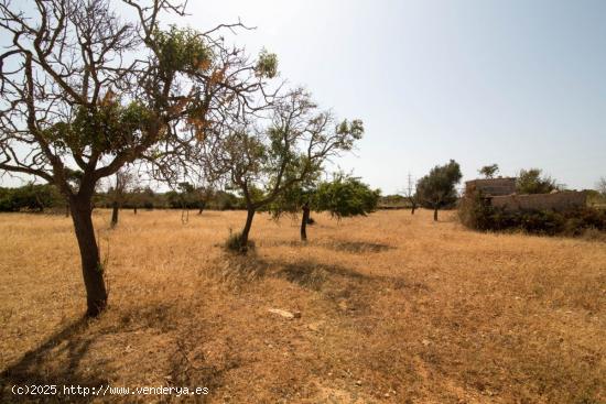 Finca Rustica en Sa Coma - BALEARES