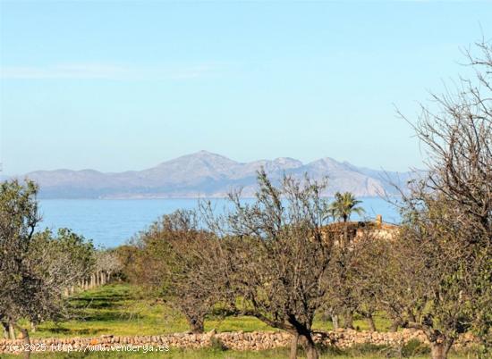 Finca rústica situada entre la Colonia de Sant Pere y S´Estanyol - BALEARES