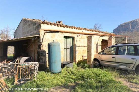 Finca rústica situada entre la Colonia de Sant Pere y S´Estanyol - BALEARES