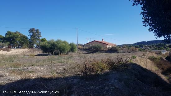 GRAN OPORTUNIDAD!! Terreno urbano en Rebolledo - ALICANTE