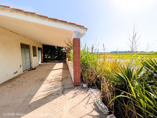 RÚSTICA ARROZAL CON CASA DE CAMPO - TARRAGONA