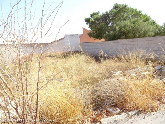 Terreno Urbano sin Edificar en venta Las Palas Fuente Álamo - MURCIA