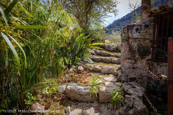 FINCA RÚSTICA EN VENTA EN LA VALL DEN MARCH (POLLENSA) - BALEARES