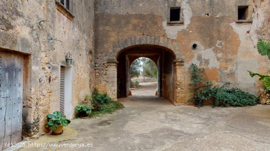 Magnífica finca Mallorquina a 15 min de Palma - BALEARES