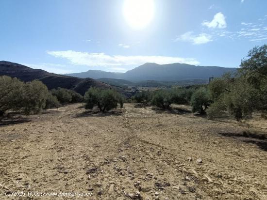 FINCA RUSTICA CERCA DE ANTEQUERA - MALAGA