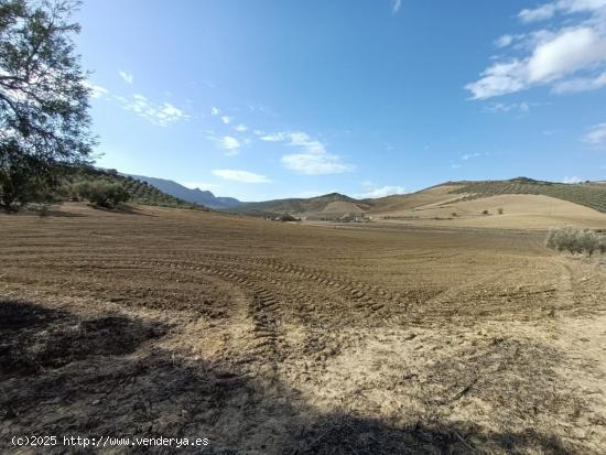 FINCA RUSTICA CERCA DE ANTEQUERA - MALAGA