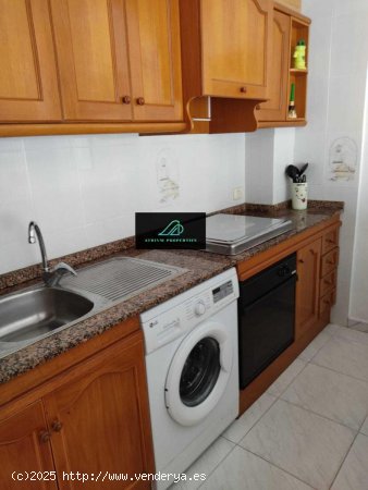  Apartamento en alquiler en Torrevieja (Alicante) 