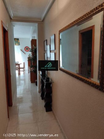 Apartamento en alquiler en Torrevieja (Alicante)