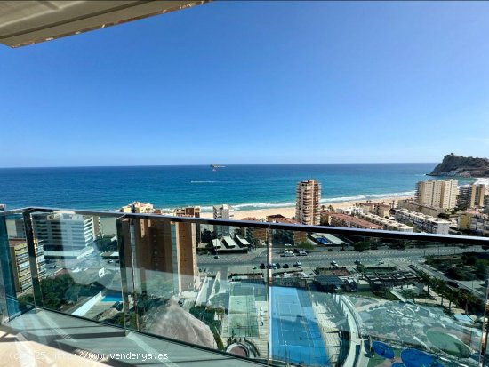  Apartamento en venta en Benidorm (Alicante) 