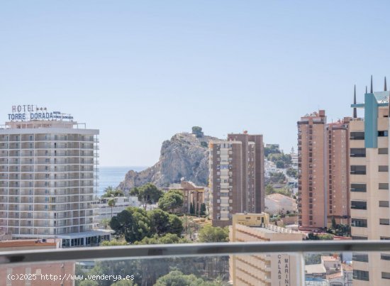 Apartamento en venta en Benidorm (Alicante)