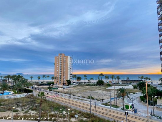  Apartamento en alquiler en Alicante (Alicante) 