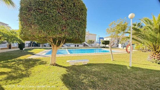  Bungalow en venta en Torrevieja (Alicante) 