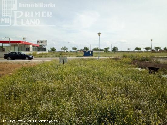 Solar en la zona Poligono 20, con 350 m2 de parcela y 11 metros fachada - CIUDAD REAL