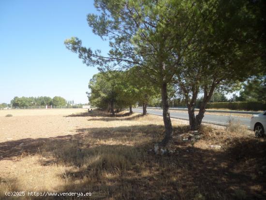 Se vende parcela con agua en zona la Alavesa - CIUDAD REAL