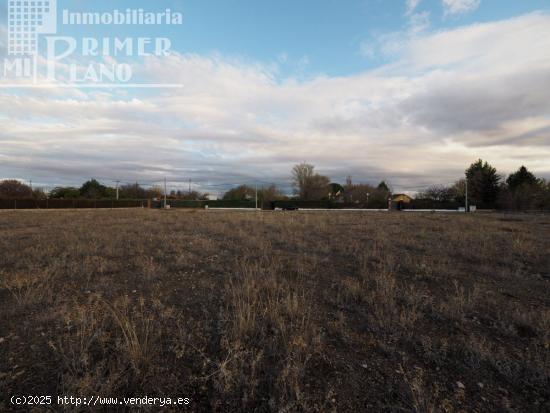 Se vende parcela con agua en la Alavesa con 2933 metros cuadrados - CIUDAD REAL