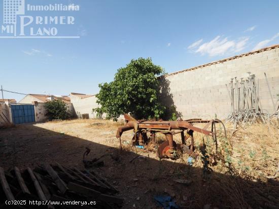 Solar en Argamasilla de Alba 244 m2 de parcela y 11 m de fachada junto a calle Ángel Pereira - CIUD