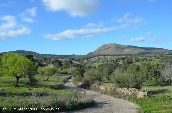 Se Vende en Sant Llorenç des Cardassar - BALEARES