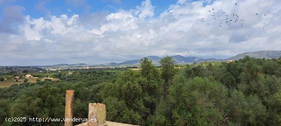 Se Vende en Sant Llorenç des Cardassar - BALEARES