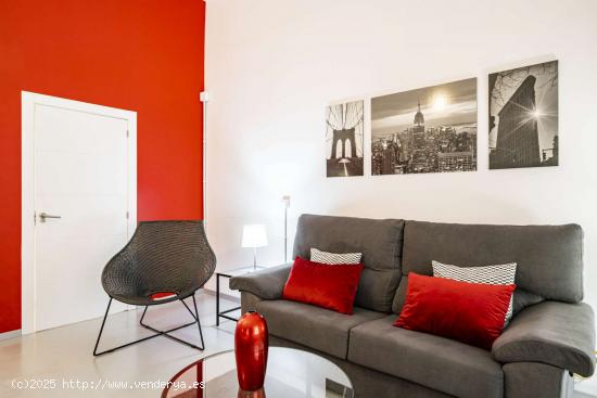  Apartamento entero de 1 habitaciones en Madrid - MADRID 