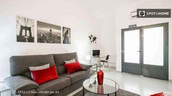 Apartamento entero de 1 habitaciones en Madrid - MADRID