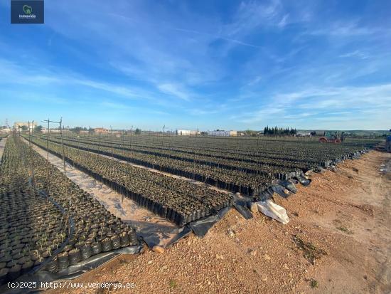 CORTIJO EN ZONA LA BARQUERA HIPOTECABLE - CORDOBA