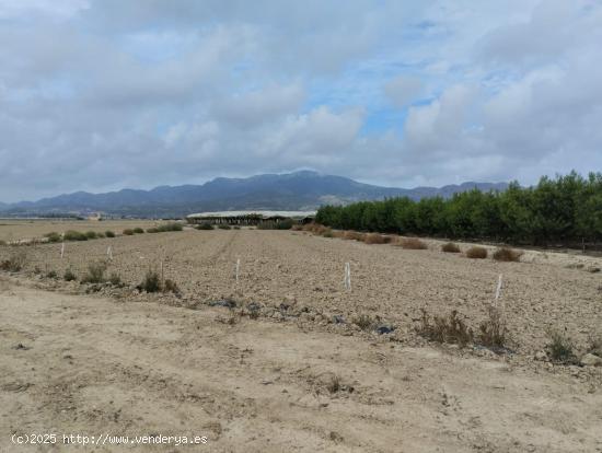 Terreno de Regadío - Lébor, Totana - MURCIA