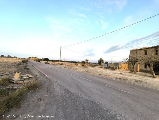 Finca Rustica en la Pedania de Marina (El Molar) Elche- Alicante - ALICANTE