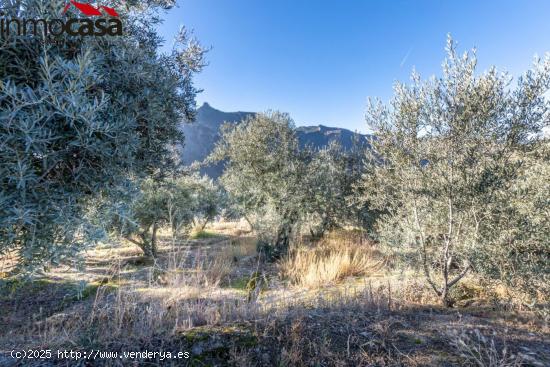 PRECIOSO TERRENO JUNTO A GUEJAR SIERRA - GRANADA