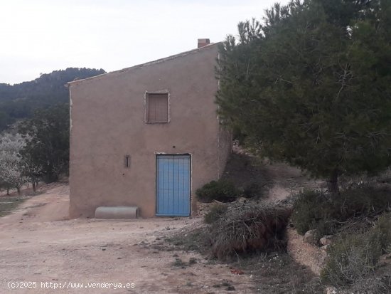 Suelo rústico en venta  en Mora d Ebre - Tarragona