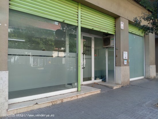  Local comercial en Alquiler en Vilafranca Del Penedes Barcelona MOLÌ D EN ROVIRA, EL 