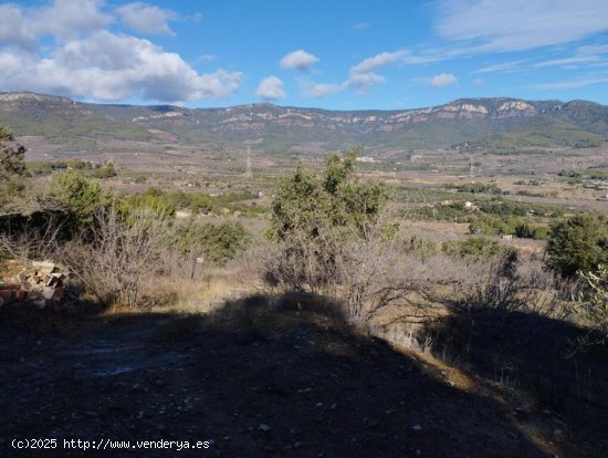 Suelo rústico en Venta en Aleixar, L Tarragona