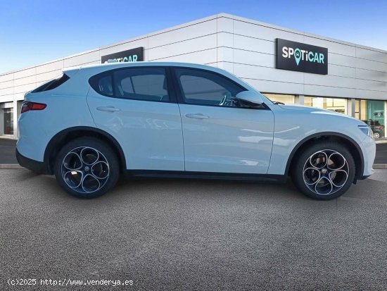 Alfa Romeo Stelvio  2.0 Gasolina 147kW (200CV)  Q4 Executive - Cadiz