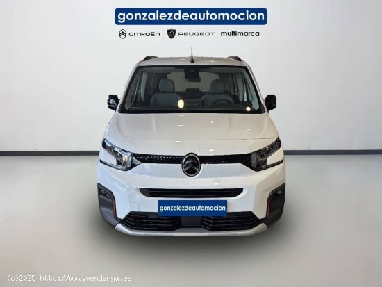 Citroën Berlingo  Talla XL BlueHDi 130 S&S  Auto Max - Úbeda