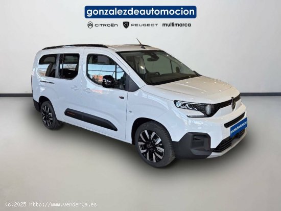 Citroën Berlingo  Talla XL BlueHDi 130 S&S  Auto Max - Úbeda