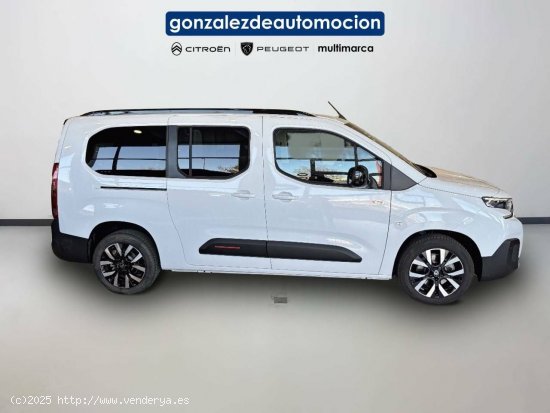 Citroën Berlingo  Talla XL BlueHDi 130 S&S  Auto Max - Úbeda