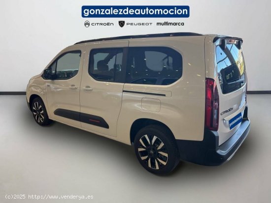 Citroën Berlingo  Talla XL BlueHDi 130 S&S  Auto Max - Úbeda