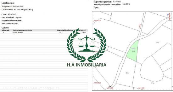 TERRENO RUSTICO 10.000 M2 EN EL MOLAR 2 PARCELAS JUNTAS . - MADRID