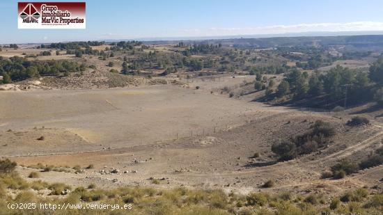 Parcela rustica en Albacete - ALBACETE