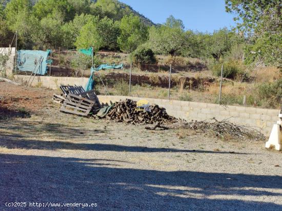 TERRENO RUSTICO CERCA DEL PUEBLO - VALENCIA