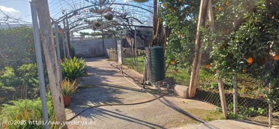 CASA CON APARTAMENTO INDEPENDIENTE Y EN TERRENO RÚSTICO DEL SECAR DE LA REAL. - BALEARES