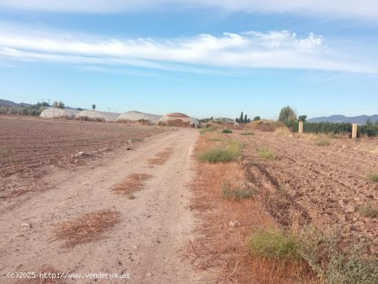 Parcela en Purias-Altobordo - MURCIA