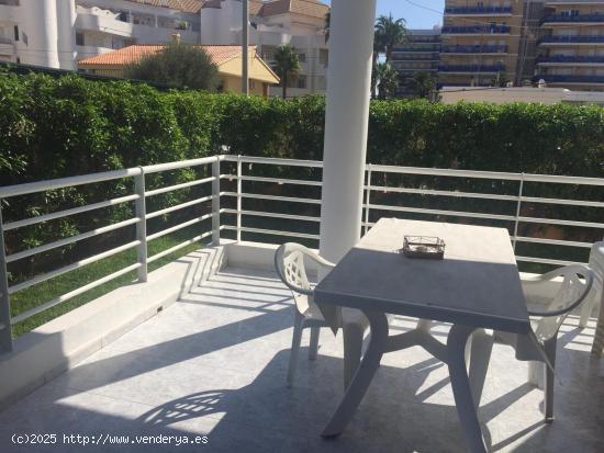 APARTAMENTO EN PRIMERA LINEA DE LA PLAYA CON JARDIN - ALICANTE