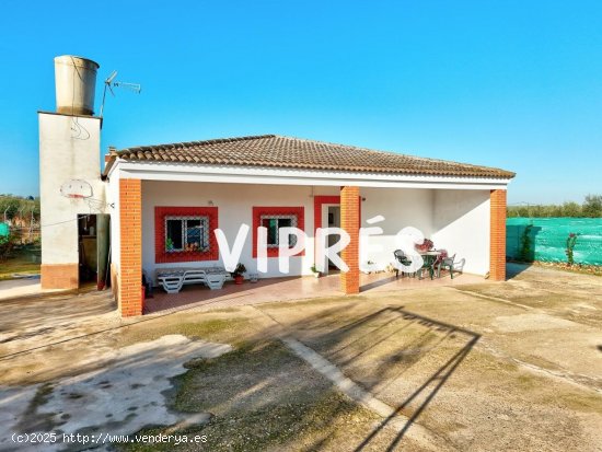 Casa en venta en Guareña (Badajoz)