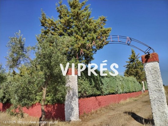 Finca en venta en Valverde de Mérida (Badajoz)