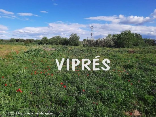 Finca en venta en Mirandilla (Badajoz)