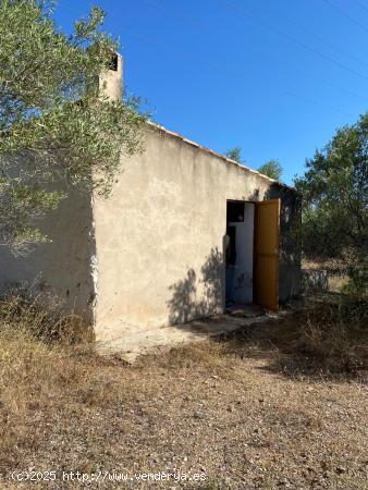  Finca Rústica con caseta y casa de madera, a 5,5 km del mar - TARRAGONA 