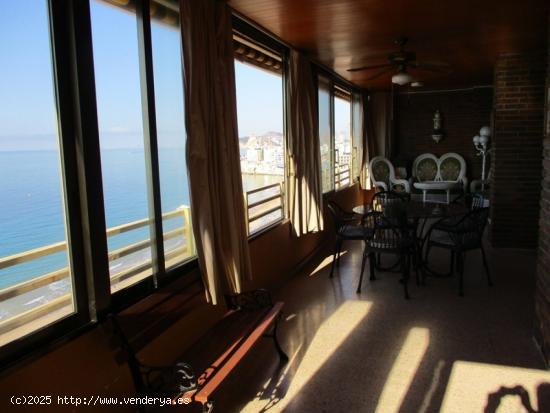 Gran piso en el mejor edificio en primera línea de Playa Levante de Benidorm - ALICANTE