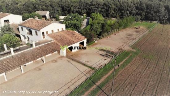 MAJESTUOSA finca con vistas, ideal para caballos - BALEARES