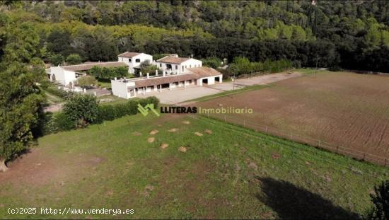 MAJESTUOSA finca con vistas, ideal para caballos - BALEARES